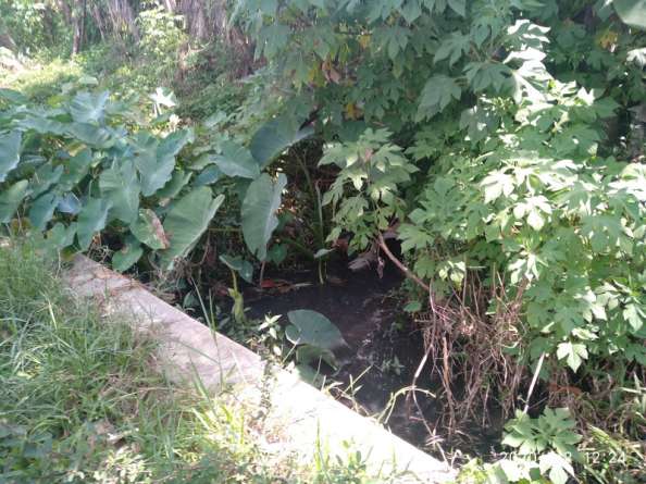 Dua Tahun Kandang Ayam Beroperasi, Si Peternak Sengaja Tidak Urus Ijin